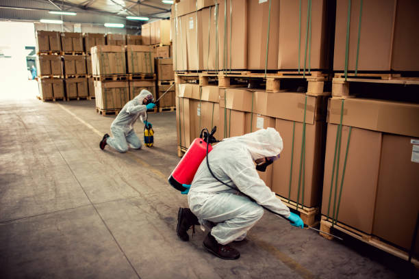 Best Best Pest Control Companies  in Pistakee Highlands, IL