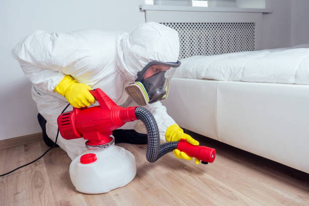Flea Control Services in Pistakee Highlands, IL