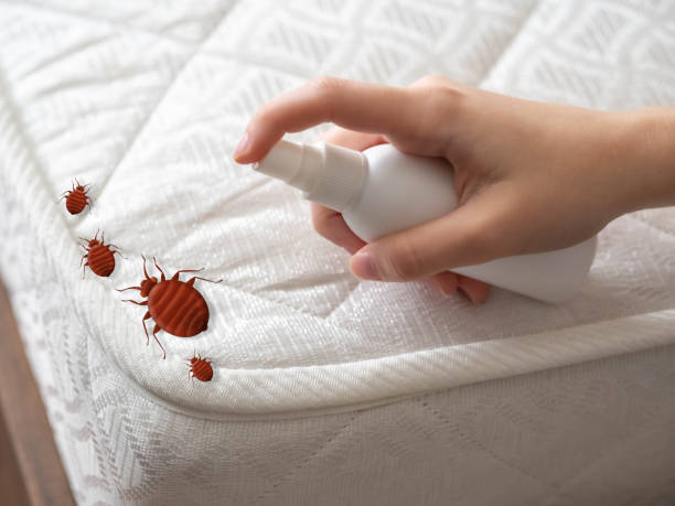 Best Local Pest Control Services  in Pistakee Highlands, IL