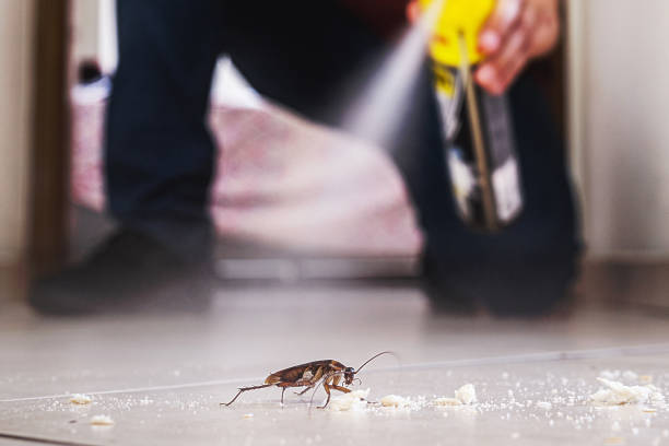 Best Residential Pest Control  in Pistakee Highlands, IL
