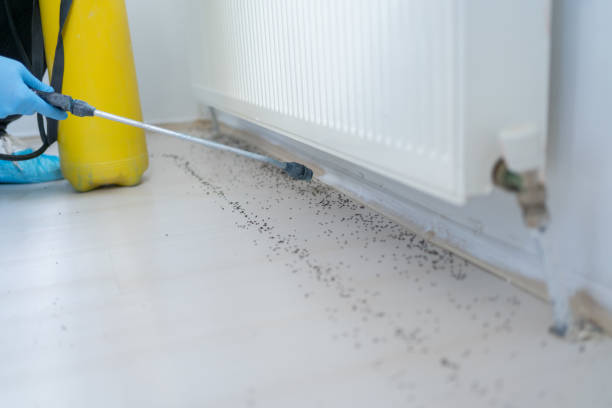 Professional Pest Control in Pistakee Highlands, IL