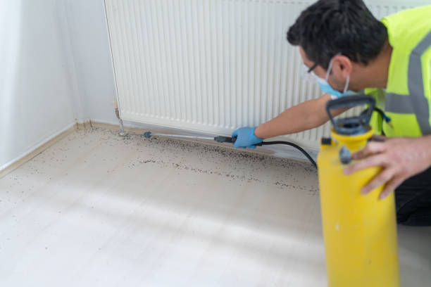 Best Ant Control Services  in Pistakee Highlands, IL
