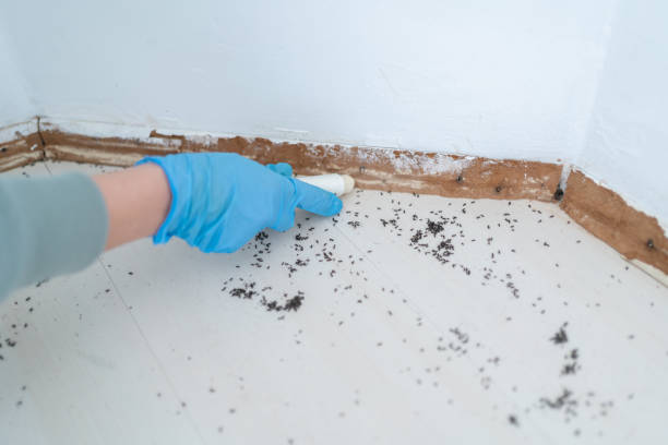 Best Pest Removal Services  in Pistakee Highlands, IL