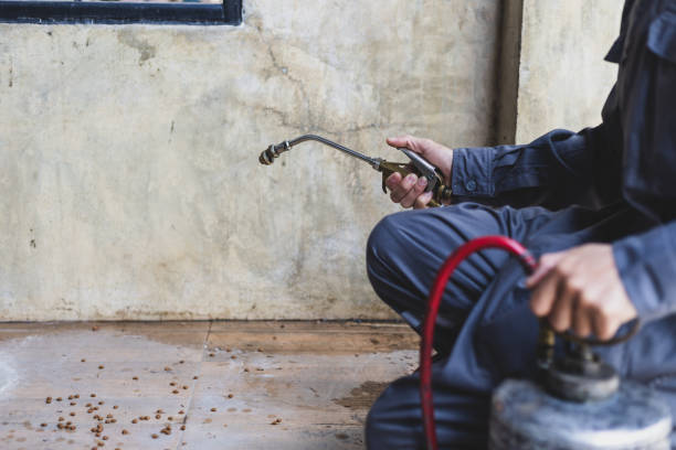 Best Pest Inspection Near Me  in Pistakee Highlands, IL
