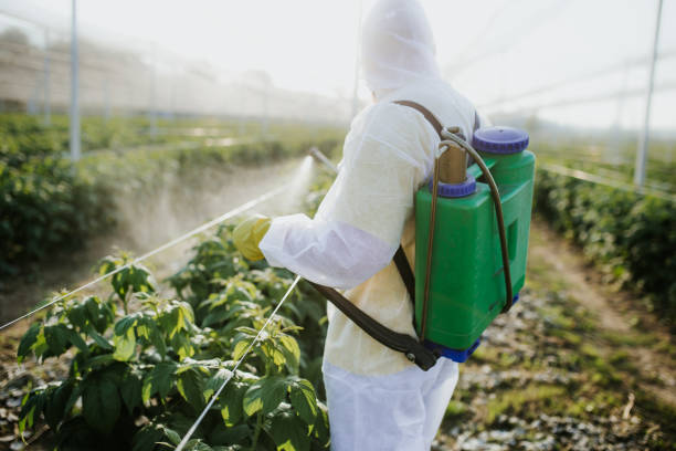 Best Wasp Removal Services  in Pistakee Highlands, IL